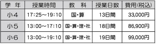 2024夏期_受験科費用